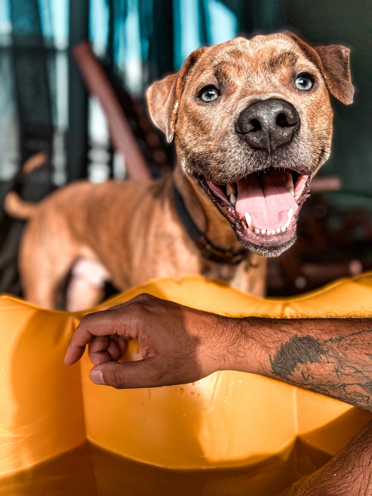 The MORDECHAI Shirt-white